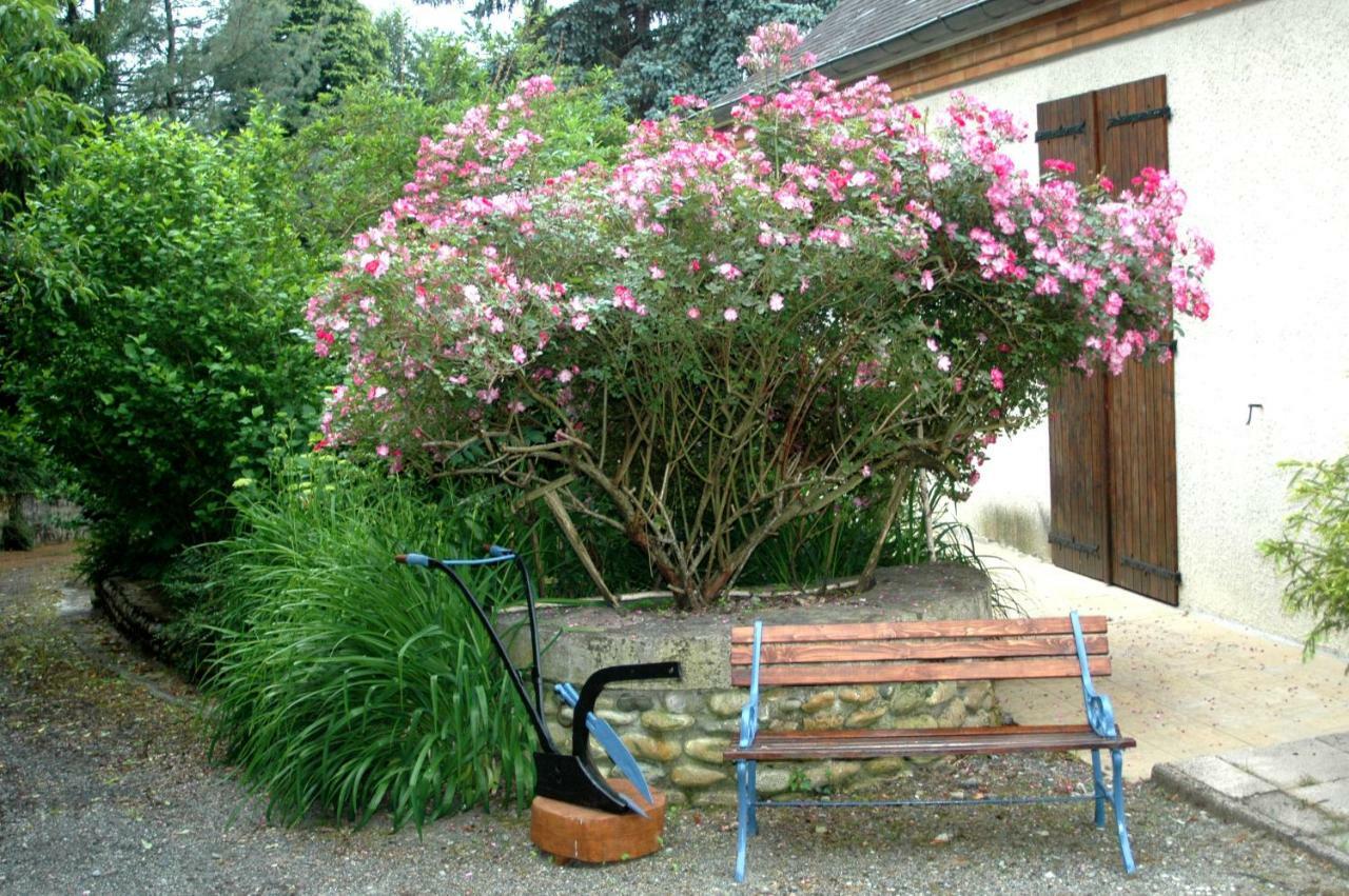 La Demeure Aux Pins Bed & Breakfast Lourdes Exterior photo